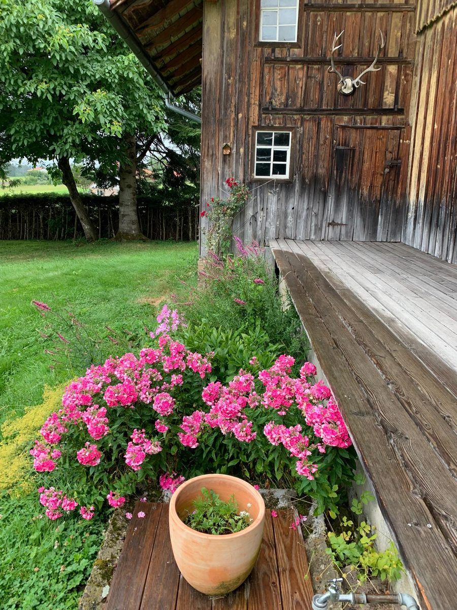 Garten Terrasse mit Blumen Mesnerhaus Weitnau